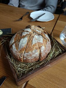 20170913_IMG130646_MotoG4-JEB